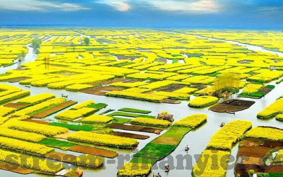 不需播放器伦理片免费观-无需播放器伦理片免费观，网络时代的道德边界与信息获取