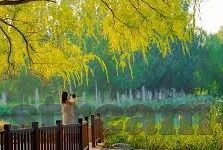 麻豆国产在线视频一区-深度探讨麻豆现象，国产在线视频与文化视界交锋